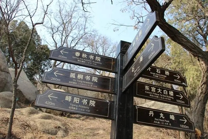 成都广告樱桃视频APP免费下载标识牌广告制造的材料